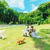 【平日＆期間限定でオトク】5室限定★スタンダード5％引！愛犬とお得に旅行へ♪＜オールインクルーシブ＞のペットと泊まれるプラン