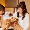 【愛犬と同室宿泊♪】＜ご夕食時間：19:30〜21:00＞ご夕食は三大蟹食べ比べ！『蟹づくし会席膳』のペットと泊まれるプラン