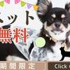 【 期間限定 】ワンちゃん2匹まで＜無料＞特典付　フレンチ★★ [ST2食付]のペットと泊まれるプラン