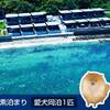 素泊まり　愛犬同泊1匹のペットと泊まれるプラン