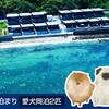 素泊まり　愛犬同泊2匹のペットと泊まれるプラン