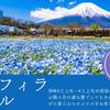 ネモフィラセール事前決済で15％オフｌ露天風呂サウナも独り占め！贅沢BBQプラン＜夕朝食付＞のペットと泊まれるプラン