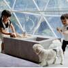 【LUXDAYSセール】【素泊まりプラン】●愛犬と宿泊●完全プライベート1棟貸　●自由に持込OK　のペットと泊まれるプラン