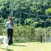 【万博】＜ペットOK＞愛犬と泊まれる！プライべートドッグラン＆ペットグッズ充実（二食付き）のペットと泊まれるプラン