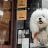 【1周年感謝企画】【大型犬専用：素泊まり】今だけ限定！★5，000円割引★のペットと泊まれるプラン