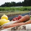 【楽天トラベル限定☆直前割☆】《特別優待価格》１泊朝食付プランのプランイメージ