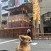 祇園祭り期間中だけの特別プラン　暑い夏も快適な愛犬様一時お預かり延長！/素泊まりのペットと泊まれるプラン