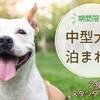＜香花灯ペット部屋＞期間限定 -中型犬までOK-[ST2食付]のペットと泊まれるプラン
