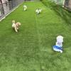 愛犬と一緒に泊まれるプランのプランイメージ