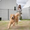 【10％OFF】【楽天スーパーSALE】愛犬と一緒にプレミアムグリルテラスをヴィラリゾートで堪能のペットと泊まれるプラン
