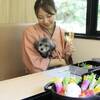 【基本会席】迷っている方には当館のスタンダードプラン／旅先でもわんちゃんとずっと一緒＜★基本鍋会席＞のペットと泊まれるプラン
