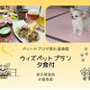 【春SALE】☆愛犬と一緒に☆　温泉宿でゆったり♪　ウィズドッグプラン（夕食付）のペットと泊まれるプラン