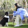 【鶏鍋】お気軽＆カジュアルプラン！愛犬と和のぬくもりを満喫する温泉旅＜▼鶏鍋＆ビュッフェ＞のペットと泊まれるプラン