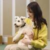 【奥日光旅SALE】≪一律20％OFF≫愛犬との温泉旅をお得に♪＜★豚しゃぶ鍋＆ハーフビュッフェ＞ のプランイメージ