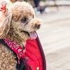 【ペット可】愛犬と海辺で朝を迎えリフレッシュ♪モーニングプラン(朝食付き)のペットと泊まれるプラン