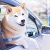 【ペット可】愛犬と海辺でのんびり～リラックスステイ～(素泊まり)のペットと泊まれるプラン
