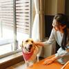 愛犬と宿泊！≪当館1番人気≫1泊2食付【星取会席】山陰の旬の食を存分に楽しむスタンダードコースのペットと泊まれるプラン
