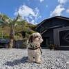 【返金不可プラン】60日前予約で20％OFF！愛犬と楽しむ贅沢ヴィラのペットと泊まれるプラン