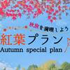 【秋限定】【2食付】愛犬と楽しむ那須の紅葉旅♪季節の特典＆和洋折衷ディナー【特典付】のペットと泊まれるプラン