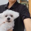 【ペット同伴なし】犬は飼っていないけど触れ合いたい！看板犬「まる」と触れ合いプランのプランイメージ