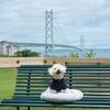 ＜素泊まり/添い寝OK＞愛犬とともに心ほどける時間を〜専用＆共用ドッグラン有・BBQ可〜のペットと泊まれるプラン