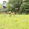 【1泊2食】ペット同宿★大切なペットを連れて豊かな自然がひろがる黒姫高原へ！のペットと泊まれるプラン