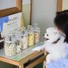 愛犬と一緒∪・ω・∪【年末年始早割】早期でお得。家族との年末旅行＜◆年末年始／部屋食＞のペットと泊まれるプラン