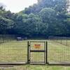 【Private Dog Run｜平日限定】1日1組だけの自由なフィールド＜CD＞のペットと泊まれるプラン