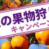 【みかん狩り】クッチェッタコース◆三ケ日ミカン狩りチケット付きプランのペットと泊まれるプラン