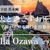 【年末年始・事前決済・ペット○】伊豆下田の1棟貸しで愛犬と過ごすお正月旅（BBQ可、軽朝食サービス）のペットと泊まれるプラン