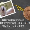 愛犬バースデー★HAPPYワンDay♪オリジナルコースタープレゼント｜1泊2食のペットと泊まれるプラン