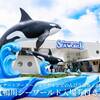 【鴨川シーワールド入場券付き】秋ディナー＋アーリーチェックインでのんびり滞在♪（1泊2食付き）のプランイメージ