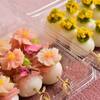 【20kg未満：わんワンプラン】季節のお花団子付きプラン♪【1泊2食】のペットと泊まれるプラン