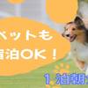 【ペット宿泊OK★朝食付】阿蘇の大自然に囲まれた空間で、ペットと一緒に素敵な時間を。のペットと泊まれるプラン