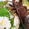 【楽天月末セール】【最上級会席】三大味覚「松阪牛」「伊勢海老」「鮑」を贅沢に【ペット可】のペットと泊まれるプラン