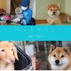 【楽天スーパーSELE】10％OFF★愛犬と一緒のお部屋で安心ステイ♪《大型犬も大歓迎！》【2食付】のペットと泊まれるプラン