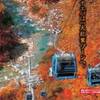《秋》【ドラゴンドラチケット付き】貸切コテージ★紅葉絶景の空中散歩で感動体験★ご送迎付きのペットと泊まれるプラン