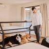 【楽天トラベルサマーSALE】愛犬と大洗旅♪サウナ・温泉・ドッグラン付き＜▽スタンダード＞のペットと泊まれるプラン