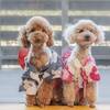 ネット販売限定【期間限定〇お得なプライス】愛犬ステイルーム・デラックス〜大切な家族と一緒に宿泊！のペットと泊まれるプラン