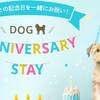 【ドッグフレンドリールーム】愛犬との記念日を一緒にお祝い！Dog Anniversary Stayのペットと泊まれるプラン