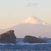 ☆素泊まり☆世界で1番富士山が綺麗に見える街♪ミネラルたっぷり天然温泉で身体の芯からポッカポカに◎のペットと泊まれるプラン