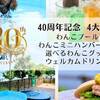 【愛犬と一緒に泊まろう！】4大特典付きリゾートステイプラン〜夕食：バイキング1部〜のペットと泊まれるプラン