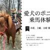【愛犬のポニー乗馬体験付】愛犬と過ごす特別なひととき。那須の自然派料理を満喫＜1泊2食レストラン＞のペットと泊まれるプラン