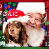 【12/17-25限定】本物のサンタが愛犬に会いに来る！特別なクリスマスプラン＜1泊2食レストラン＞のペットと泊まれるプラン