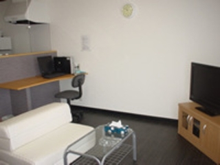 ペットと泊まれる禁煙宿（32型TV、PS2付）