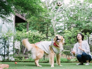 【大型犬もOK♪一番広い専用ドッグラン付】広々とした和洋室