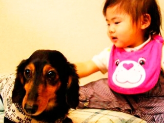 愛犬と泊まれる和室8.5畳（禁煙）1〜3名様向け