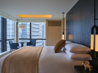 プレミアスイートキング