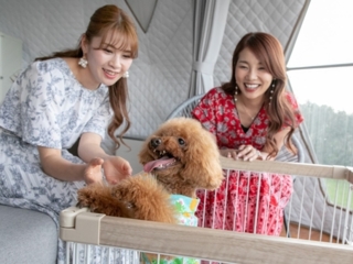 【ペット可】6mドーム客室セミダブル2ベッド（最大3名）