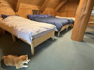 ワンちゃんと泊まれる絶景部屋